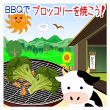 515841361