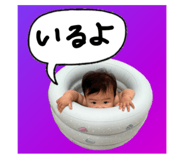 515846044