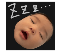 515846051