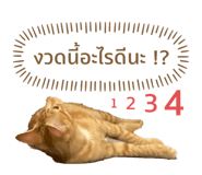 515871349