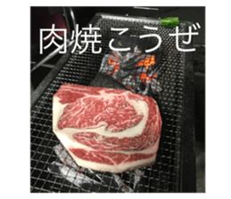 515879834