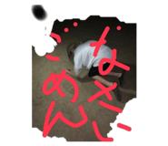 515892342