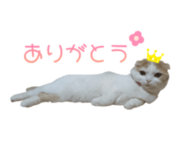 515893069