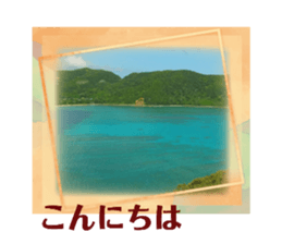 515896538