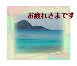 515896546