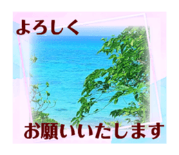 515896562