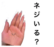 515911676