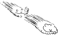 515976185