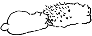 515976199