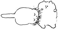515976200