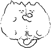 515976208