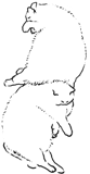 515976210