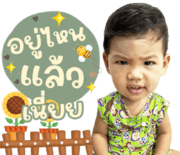 516088626