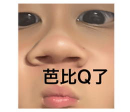 516098753