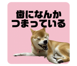 516155098