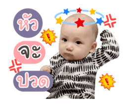 516279848