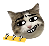 516321247