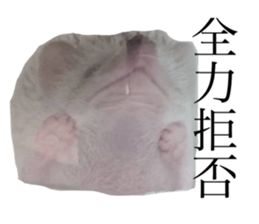 516475771