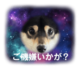 516479163