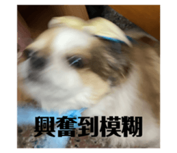 516494346