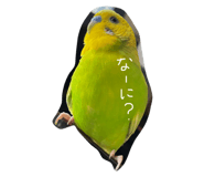 516499030