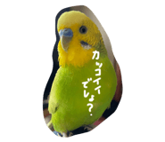 516499034