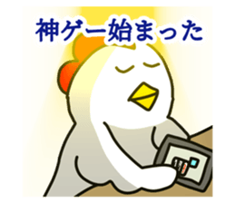 516540215