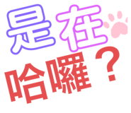 516550130