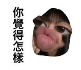 516557464