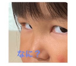 516561446