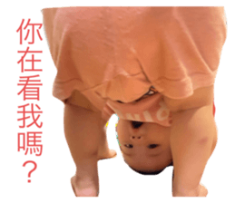 516562726