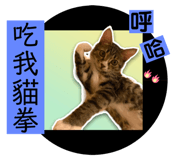 516567656