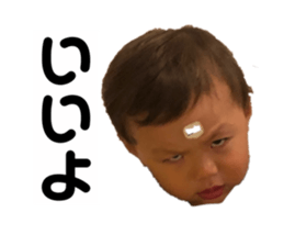 516581531