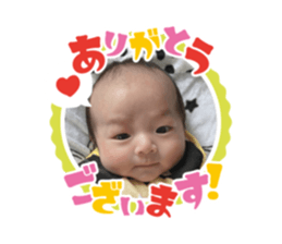 516653306