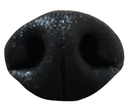 516654489