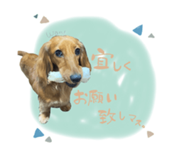 516654830