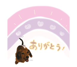 516654831