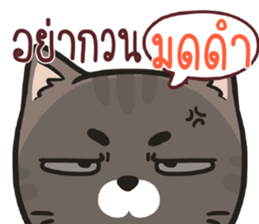 516736980