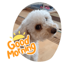 516795215