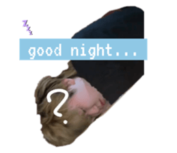 516808020