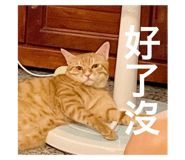 516823734
