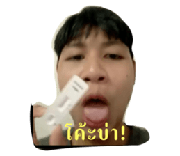 516825317