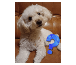 516870210