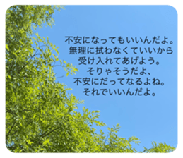 516888255