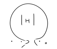 516955491