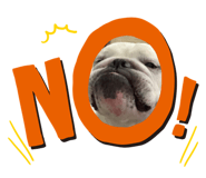517015789