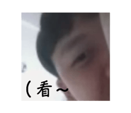 517030928