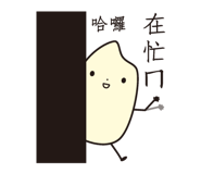 51704276