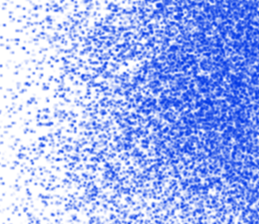 517057648