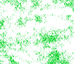 517057730